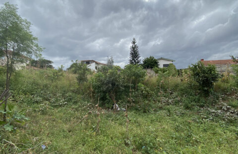 Terreno en venta #20