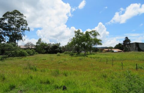Terreno en venta #282