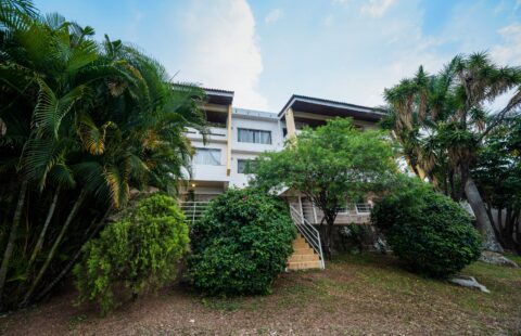 Propiedad comercial venta #237