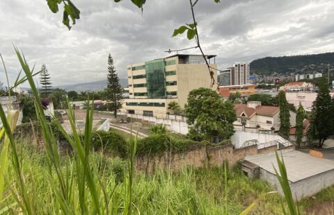 Terreno en venta #289