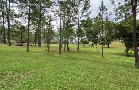 Terreno en venta #126
