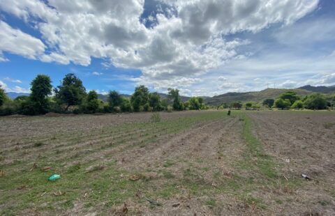 Terreno en venta #92