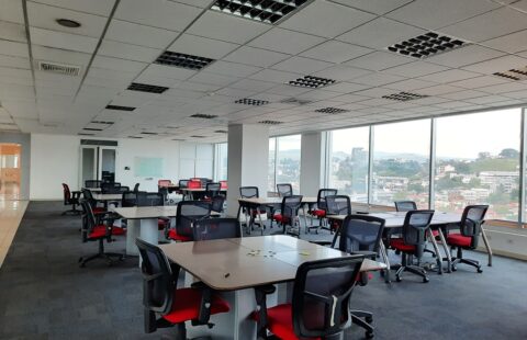 Local comercial en venta #224