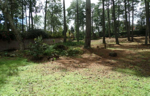 Terreno residencial en venta #245