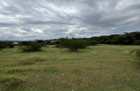 Terreno en venta #154