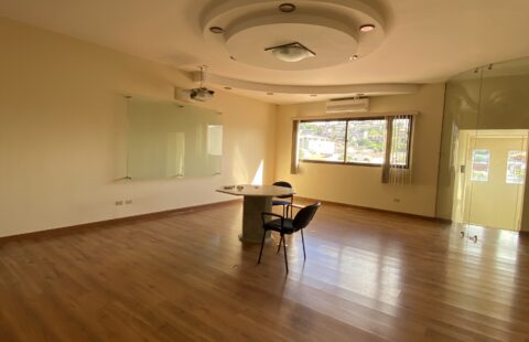 Propiedad en venta #203
