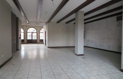 Locales comerciales en alquiler #347