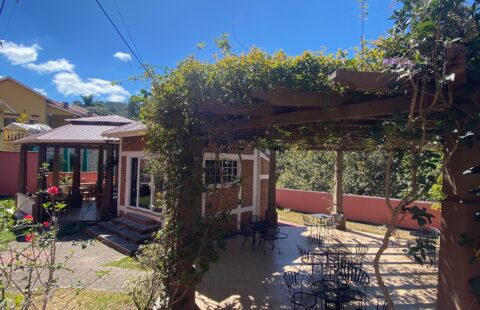 Local comercial en alquiler #329