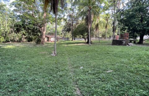 Terreno en venta #333