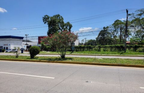 Terreno en venta #332