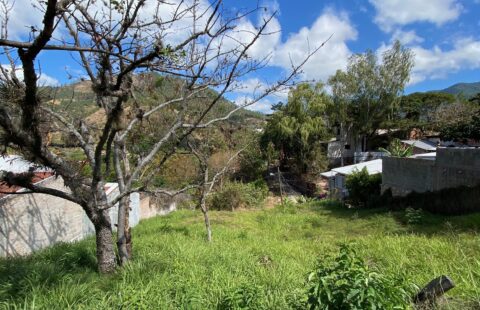 Terreno en venta #330