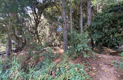 Terreno en venta #334