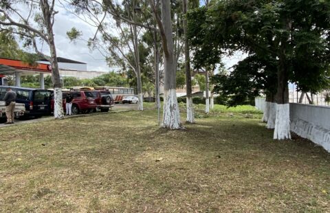 Terreno comercial en alquiler #95