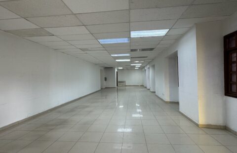 Local Comercial en alquiler #46