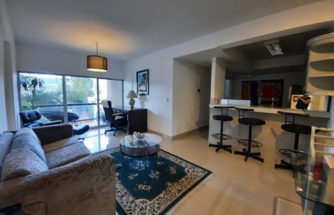 Apartamento en alquiler #36