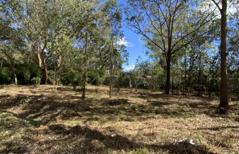 Terreno en venta #173