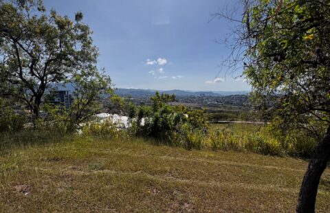Terreno en venta #117