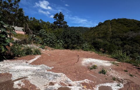 Terreno en venta #115