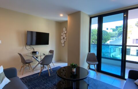 Apartamentos en venta #242
