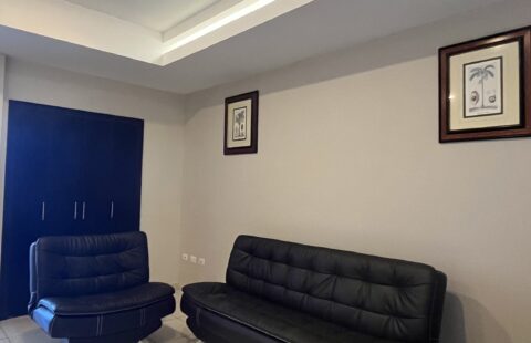Apartamento en alquiler #387