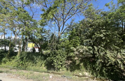 Terreno en venta #109