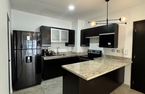 Apartamento en alquiler #30