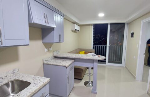 Apartamento en alquiler #411