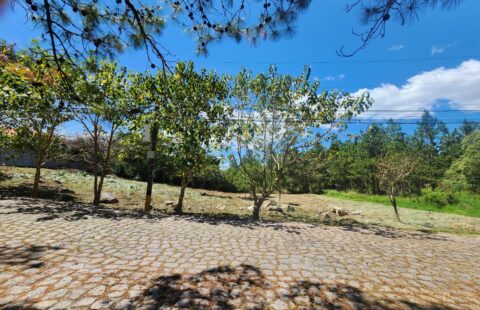 Terreno en venta #415