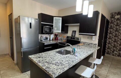 Apartamento en alquiler #420