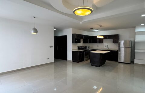 Apartamentos en alquiler #419