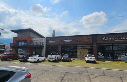 Locales comerciales en alquiler #151