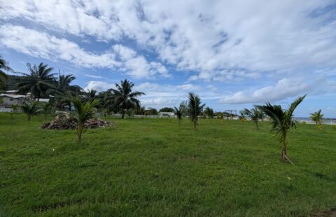 Terreno en venta #128