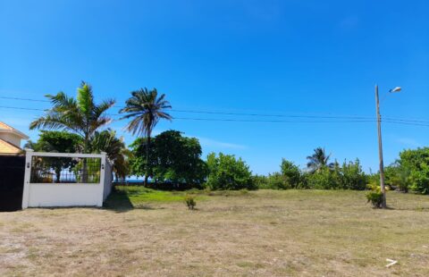 Terreno en venta #461