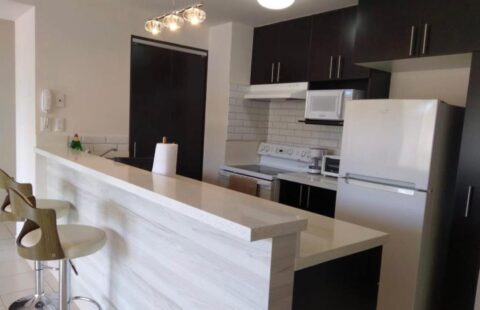 Apartamento en alquiler #457