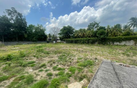 Terreno en venta #465