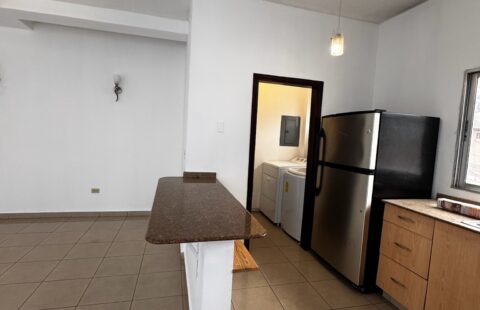 Apartamento en alquiler #249