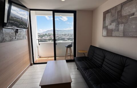 Apartamento en alquiler #455