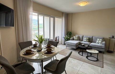 Apartamento en alquiler #447