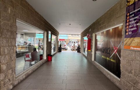Plaza comercial en venta #446