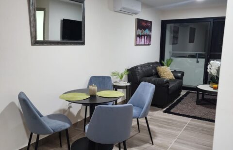 Apartamento amueblado en venta #477