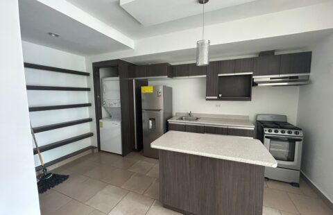 Apartamento en alquiler #113