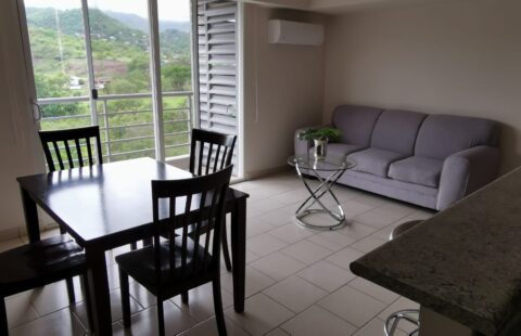 Apartamento en alquiler #493