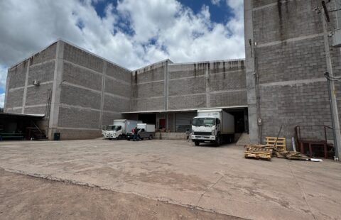 Bodega en alquiler #475