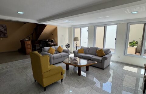 Propiedad comercial en alquiler #490