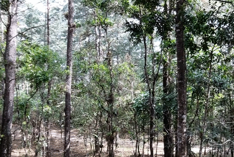 Terreno en venta #497