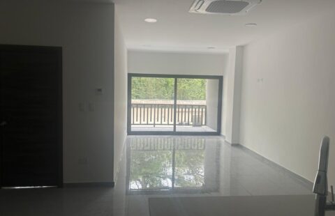 Apartamento en alquiler #507