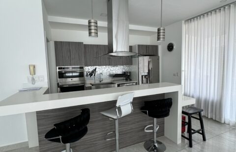 Apartamento en alquiler #506