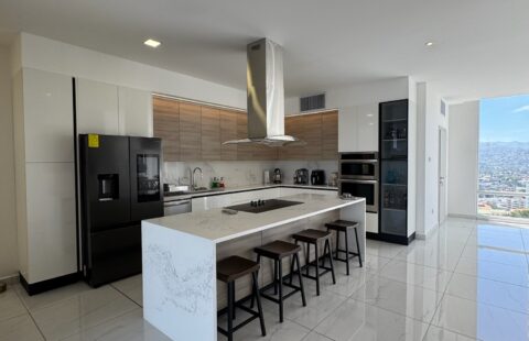 Penthouse en alquiler #503