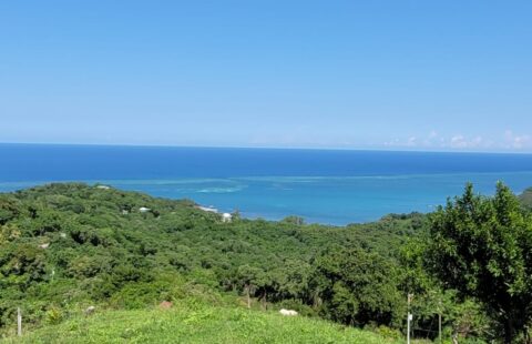 Terreno en venta #195