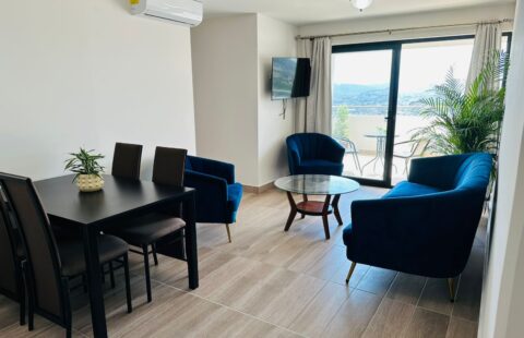 Apartamento en alquiler #467